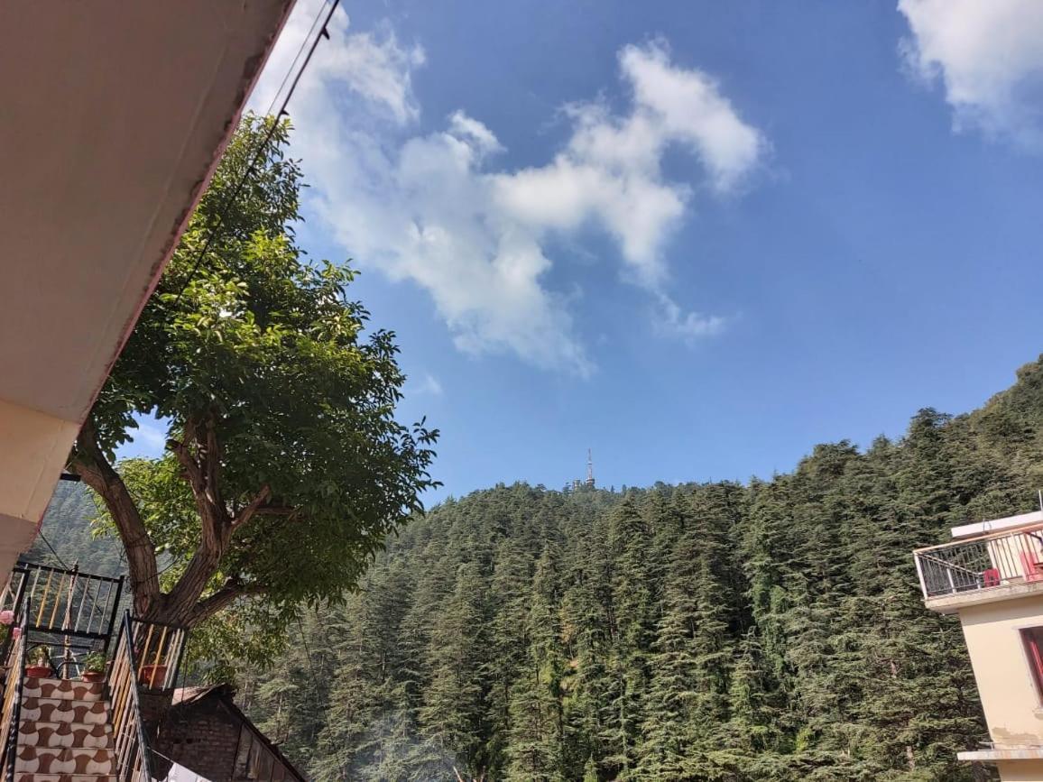 Shimla Pines Homestay Bagian luar foto