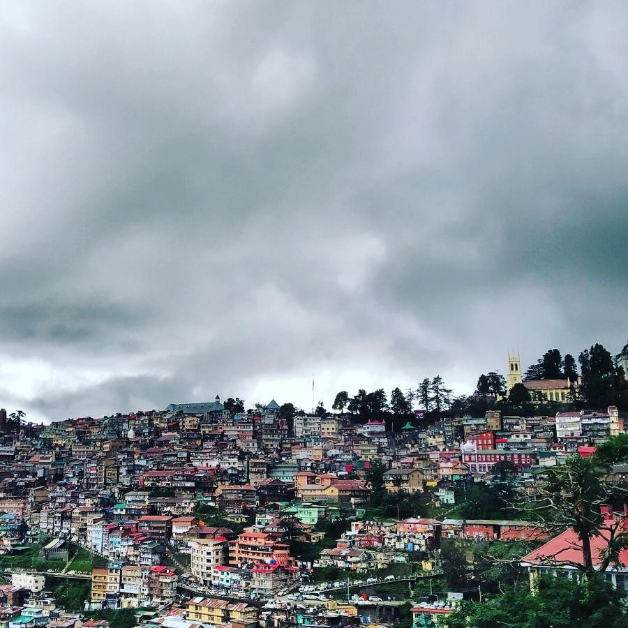 Shimla Pines Homestay Bagian luar foto