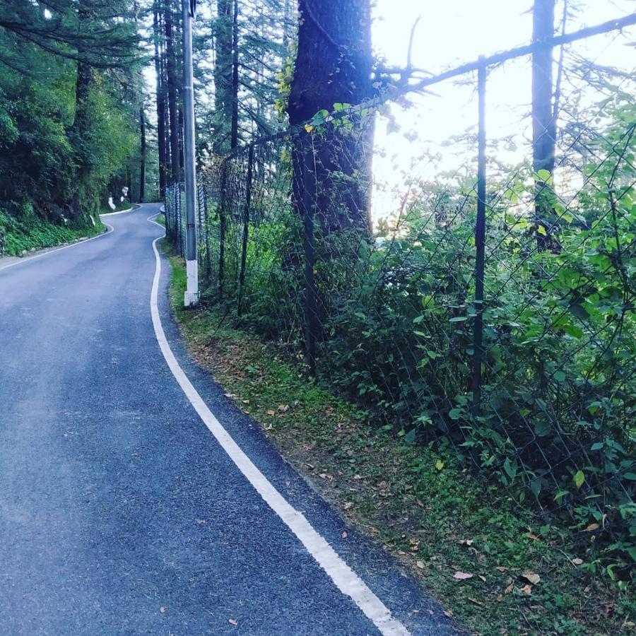 Shimla Pines Homestay Bagian luar foto