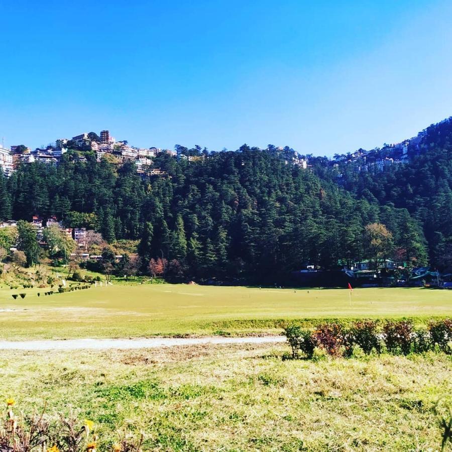 Shimla Pines Homestay Bagian luar foto