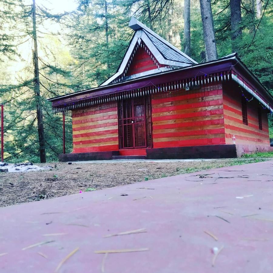 Shimla Pines Homestay Bagian luar foto